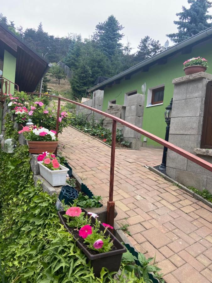 Penzion U Pavla Most Exterior photo
